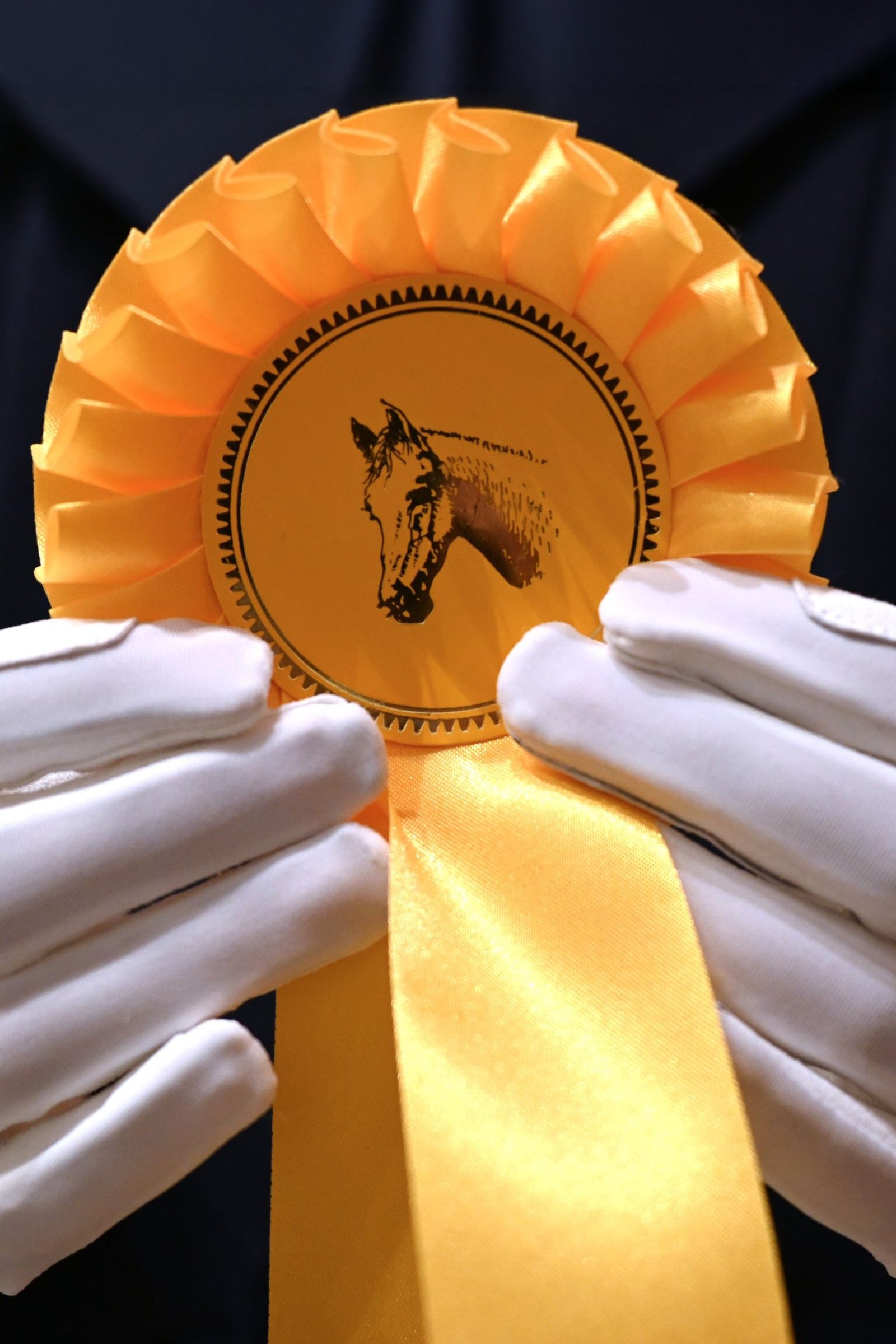 RSL Amalia Children's Riding Gloves Kids Apparel