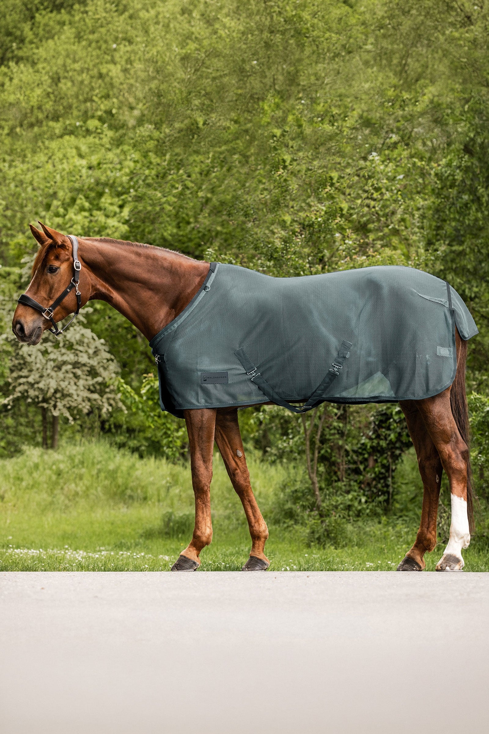 Waldhausen Comfort Fly Rug Horse Rugs