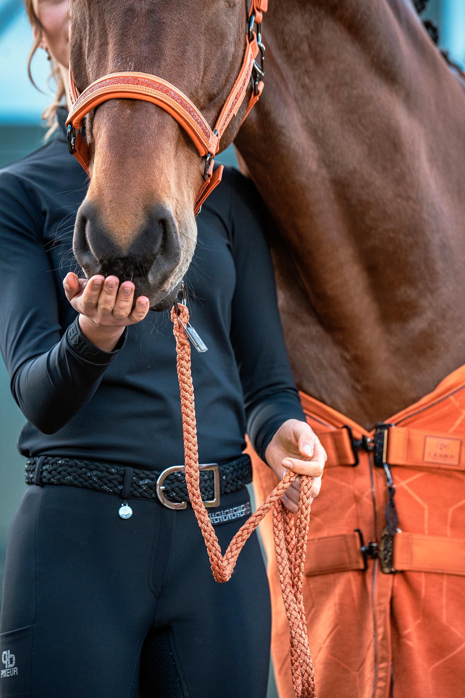 Eskadron Platinum 26 Jewel Double Pin Headcollar, Faux Leather Halters & Leads