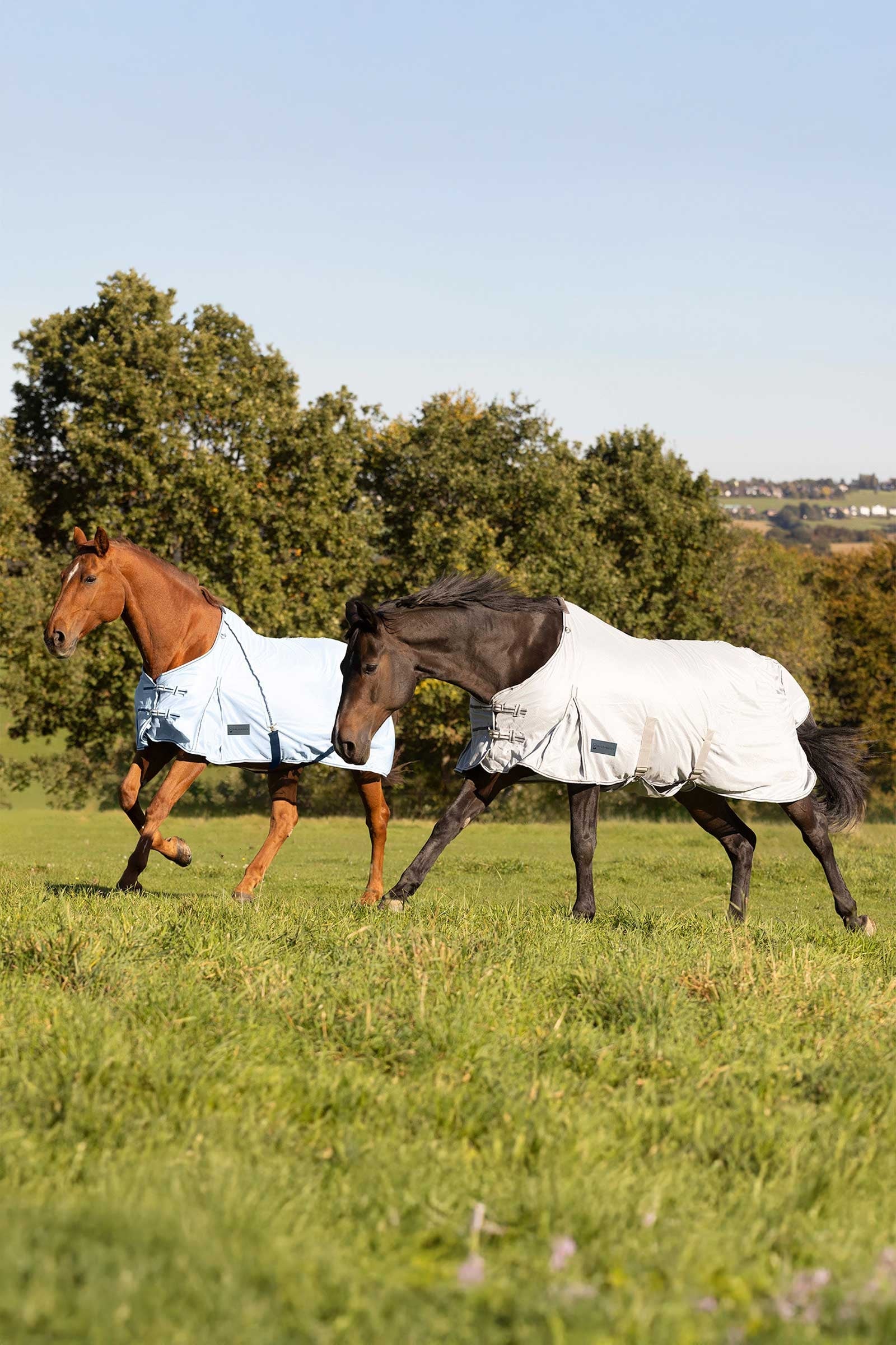 Waldhausen Protect Fly Rug Horse Rugs