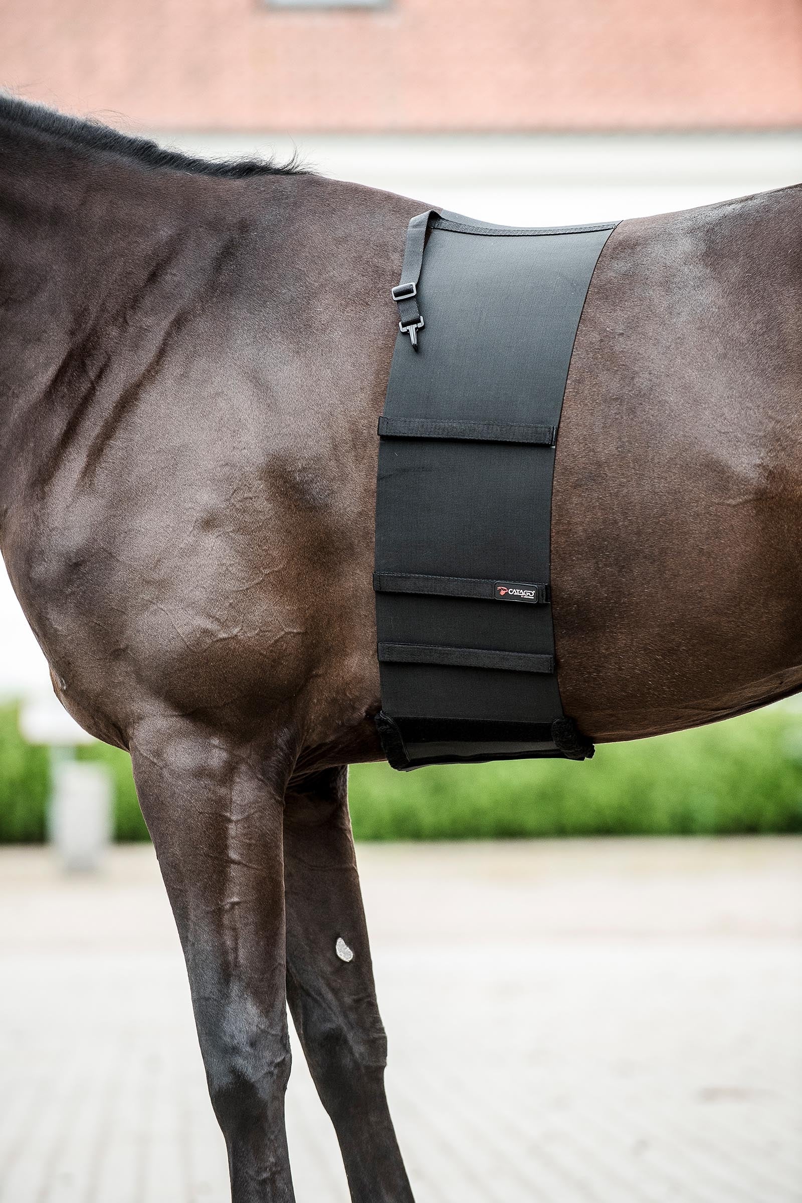 Catago CATAGO Body Shield Coat Protective Girth Saddles, Girths & Stirrups