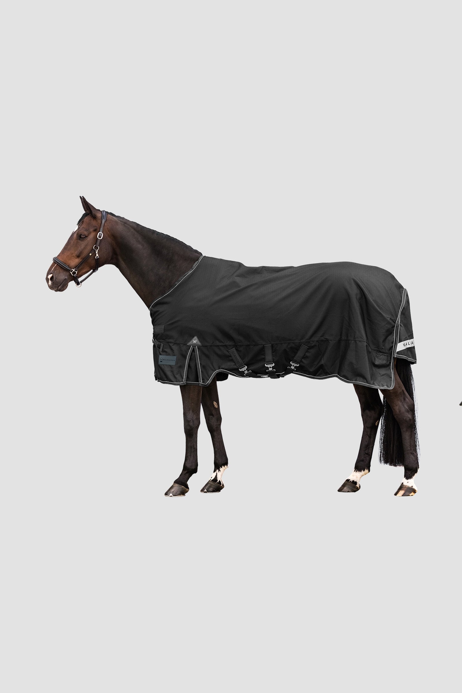 Waldhausen Outdoor Rug Scandic Multi-Layer 250 g/100 g Horse Rugs