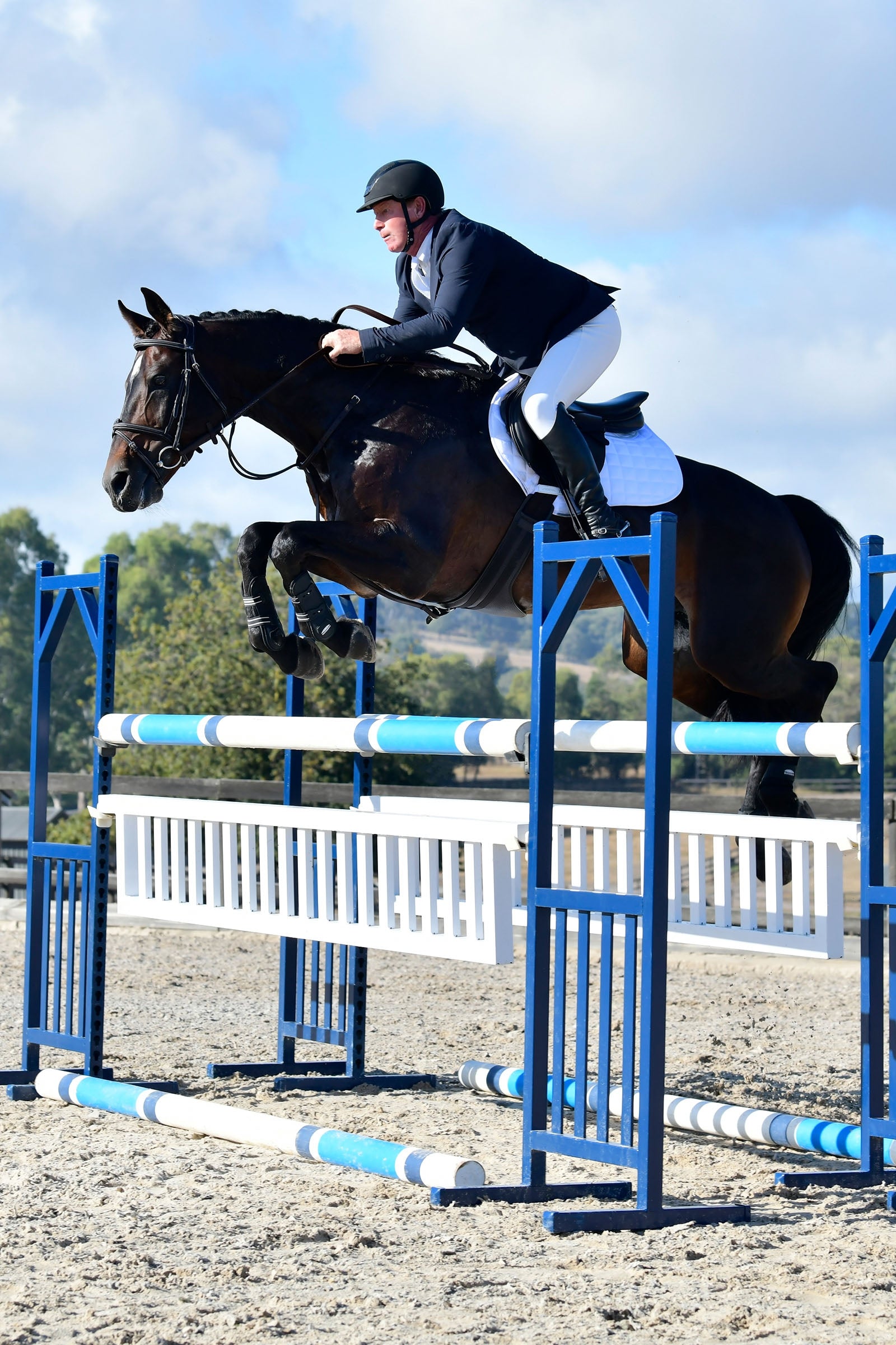 Collegiate Comfitec Opulux Fancy Stitch Padded Hanoverian Bridle Bridles & Reins