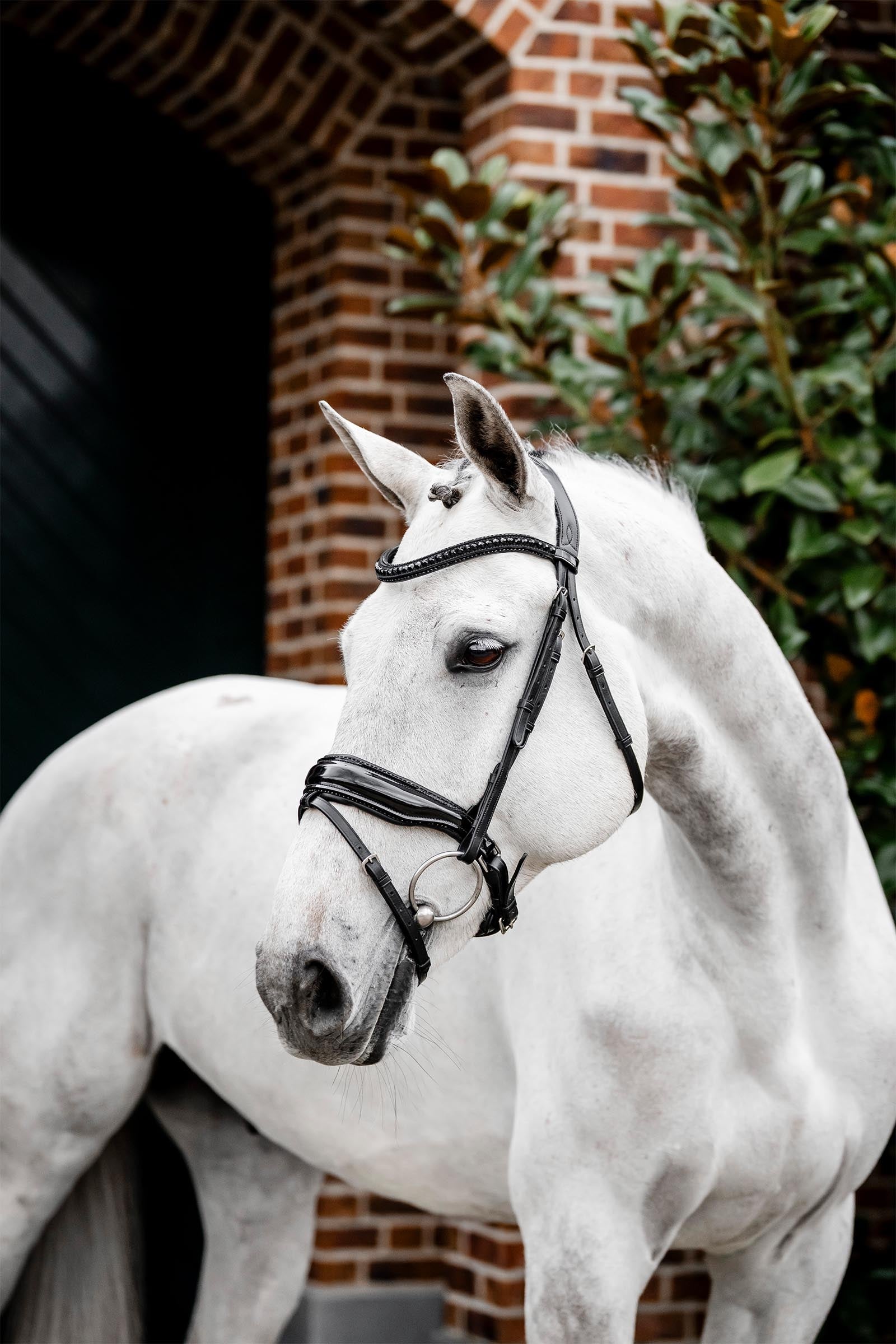 Horseware Diamante Flash Bridle Bridles & Reins