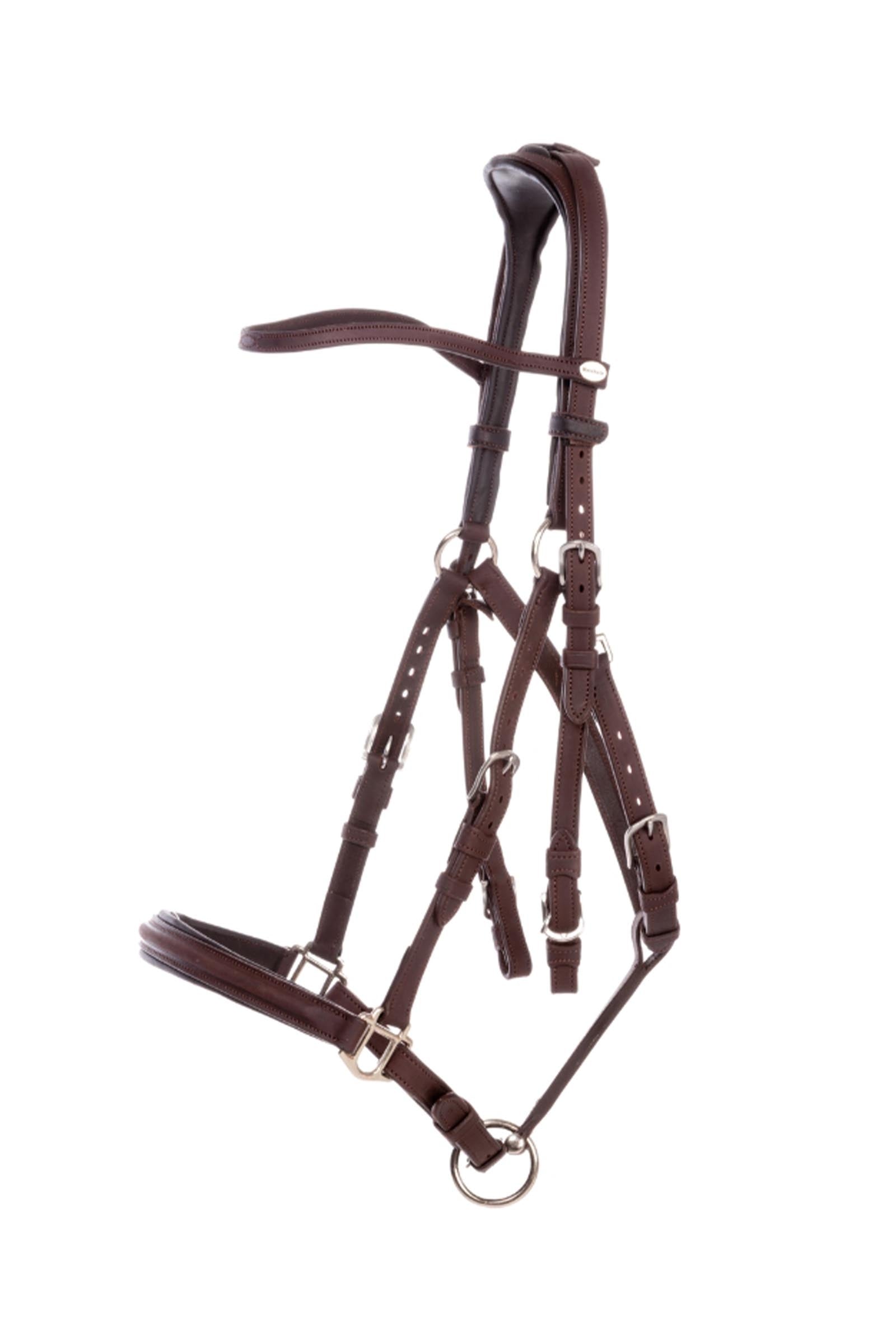 Kavalkade Artemis Trail Bridle Bridles & Reins