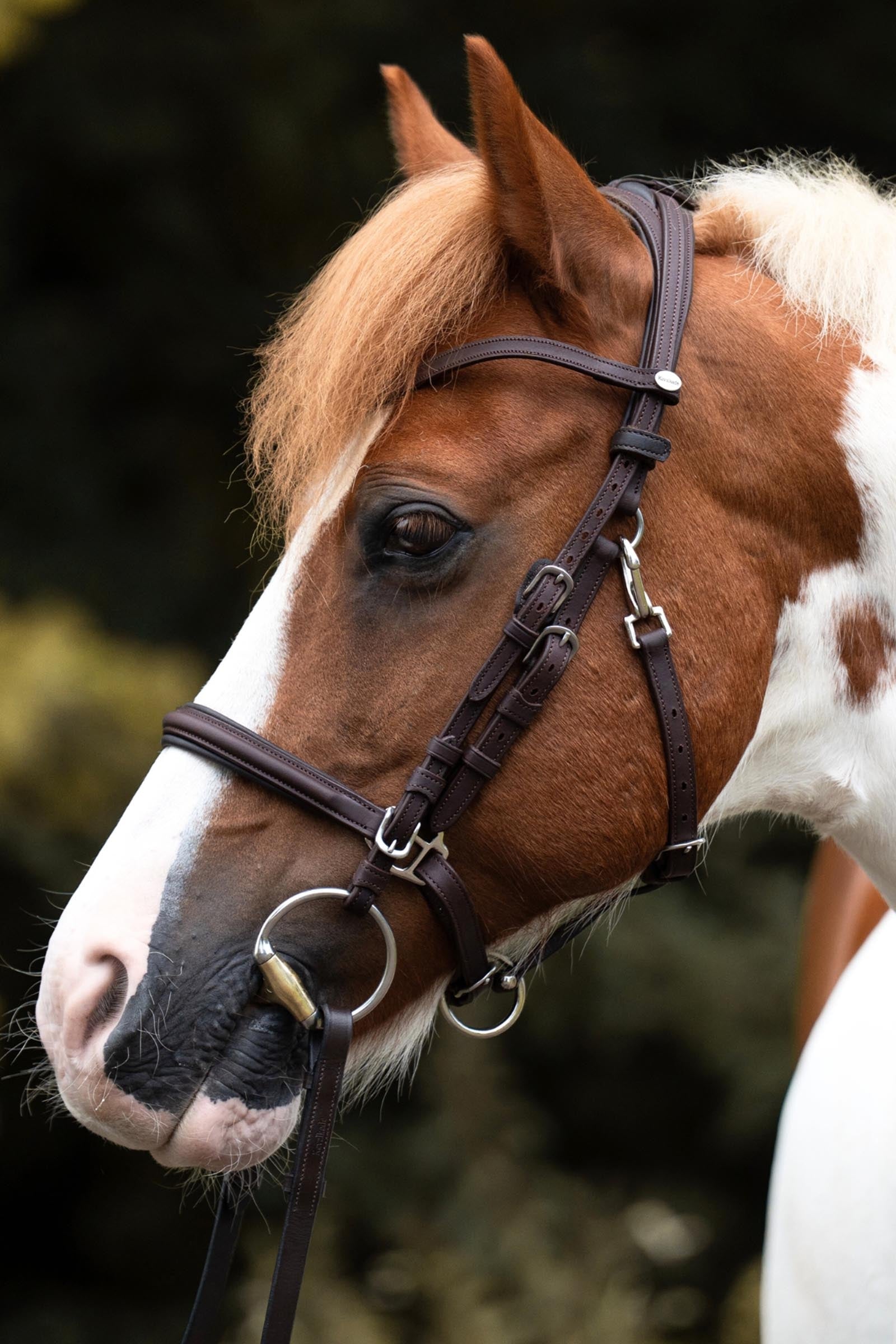 Kavalkade Artemis Trail Bridle Bridles & Reins