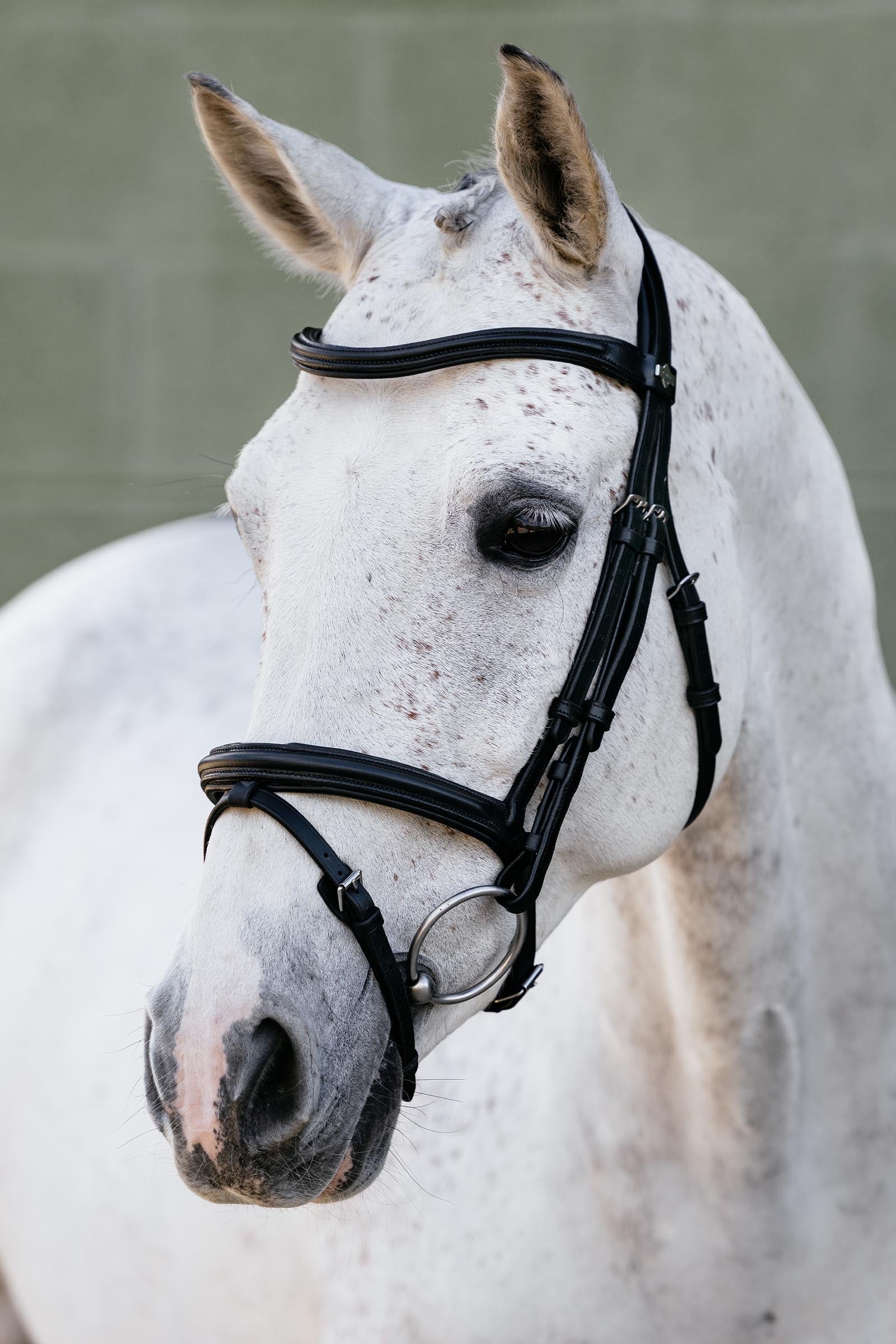 LeMieux Arika Flash Bridle Bridles & Reins