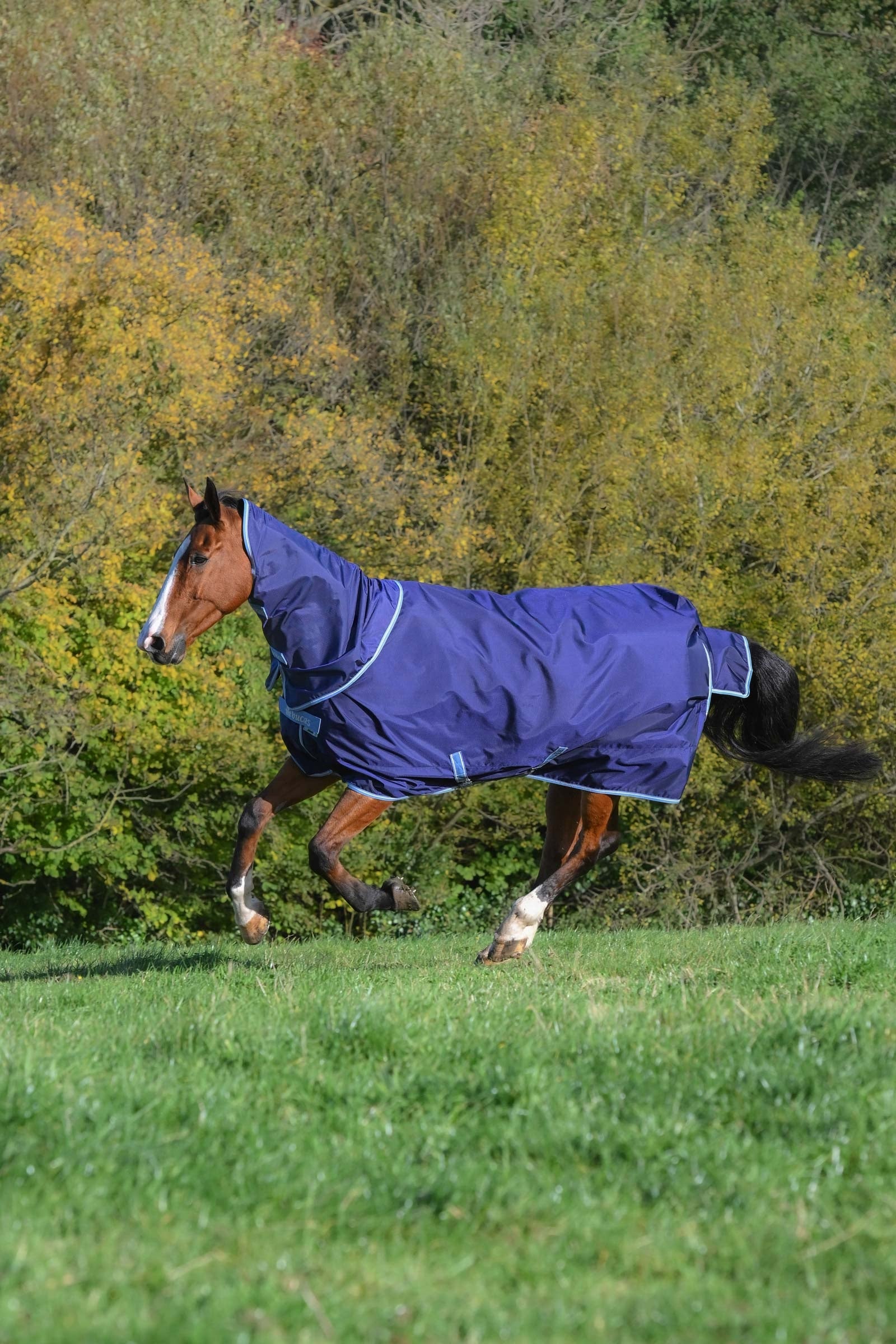 Bucas Atlantic Exclusive Rug & Neck Set Horse Rugs