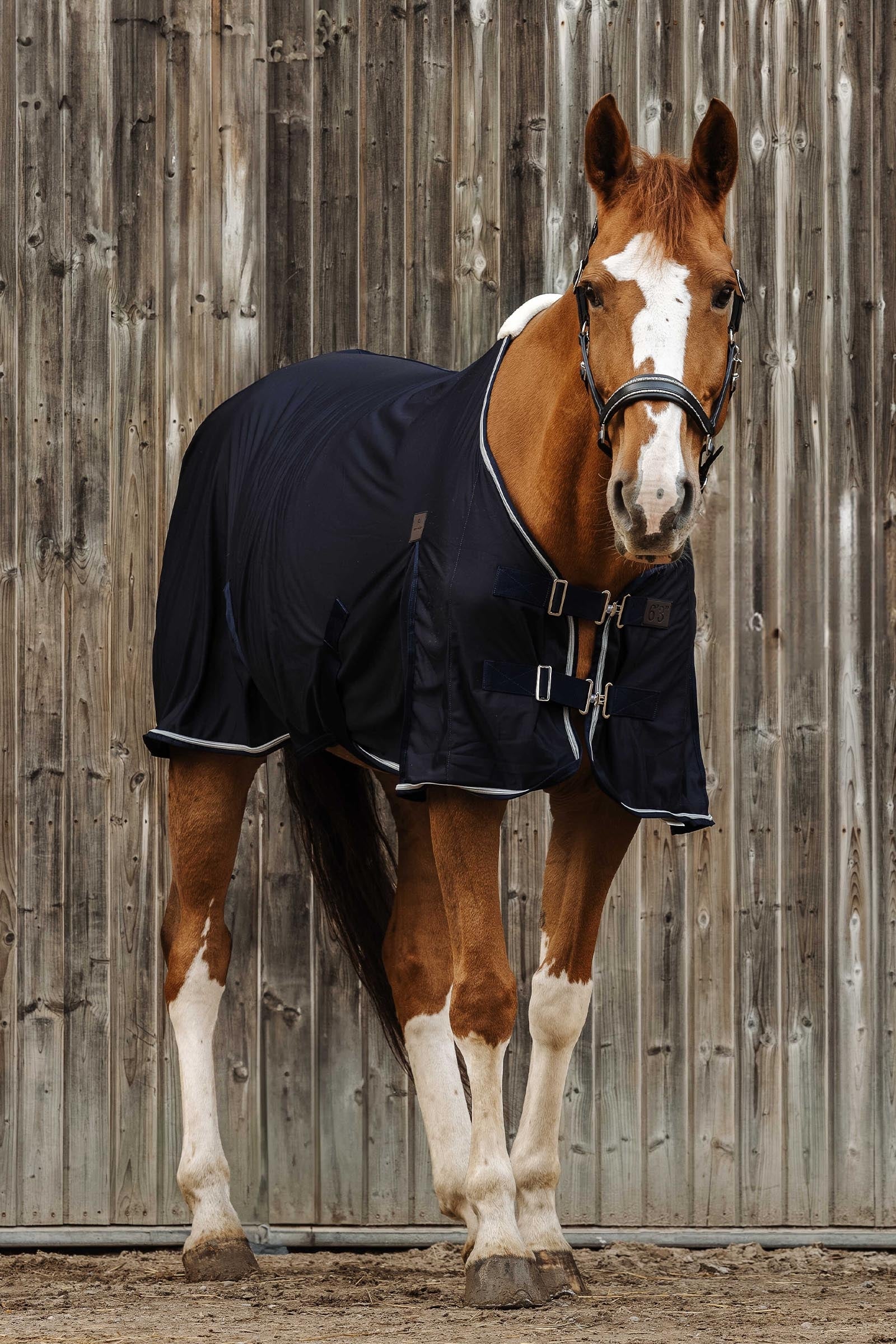 EQUITHÈME Micro Mesh Sheet Horse Rugs