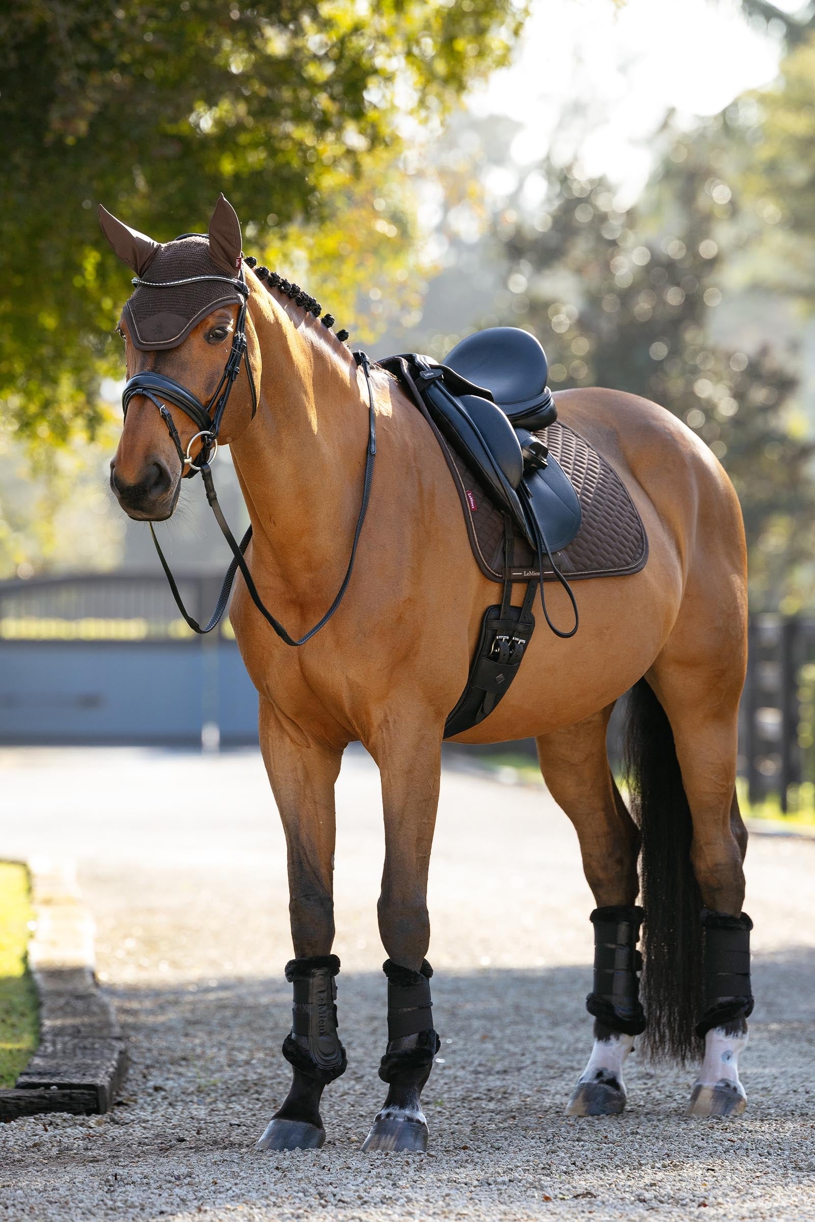 LeMieux Brilliance Fly Hood Saddle Pads