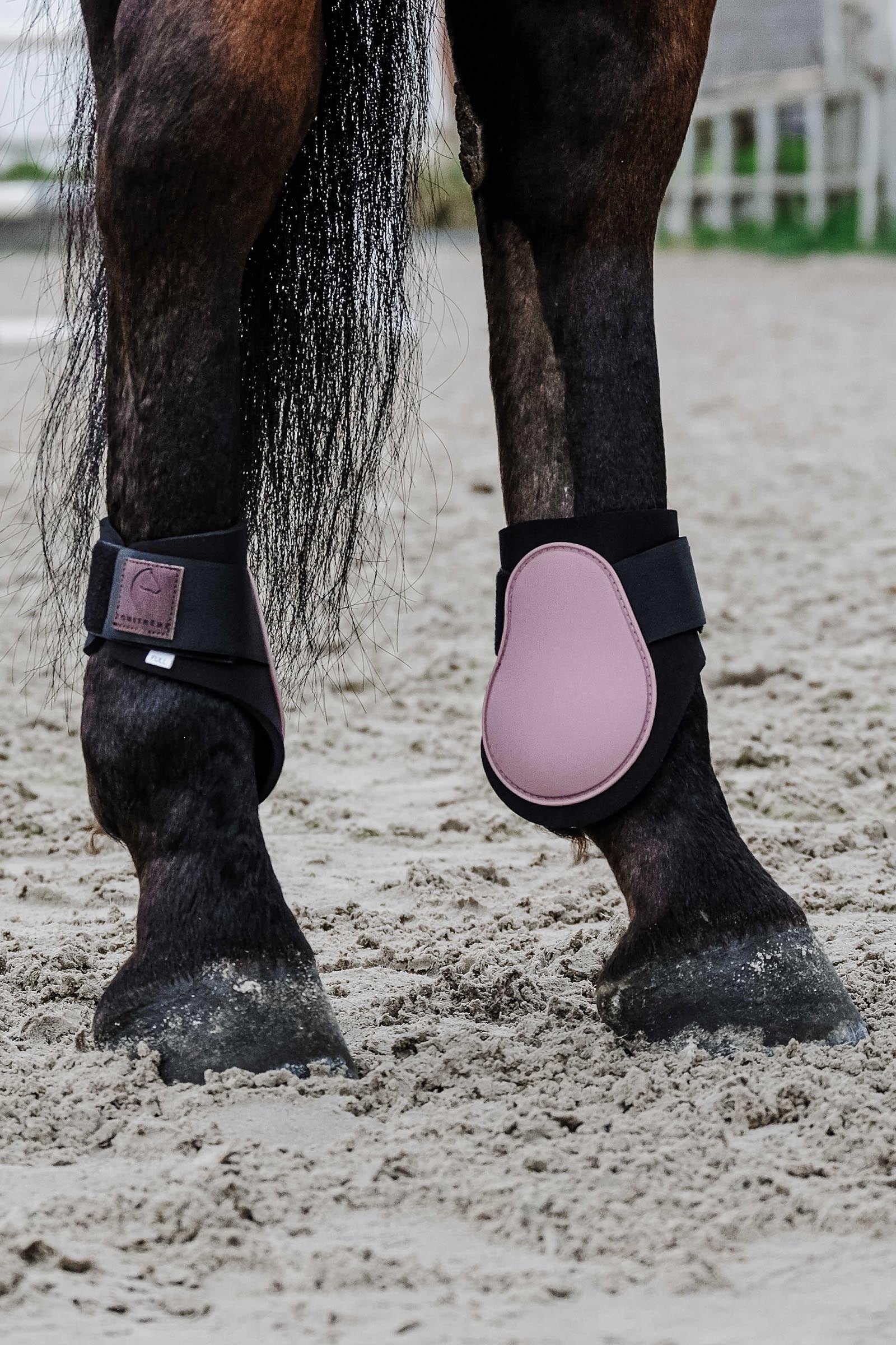EQUITHÈME Tara Fetlock Boots Leg & Hoof Protection