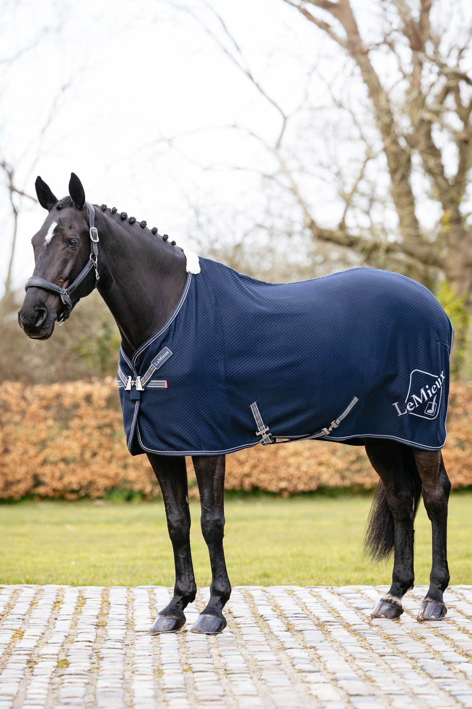 LeMieux Kudos Bamboo Cooler Horse Rugs