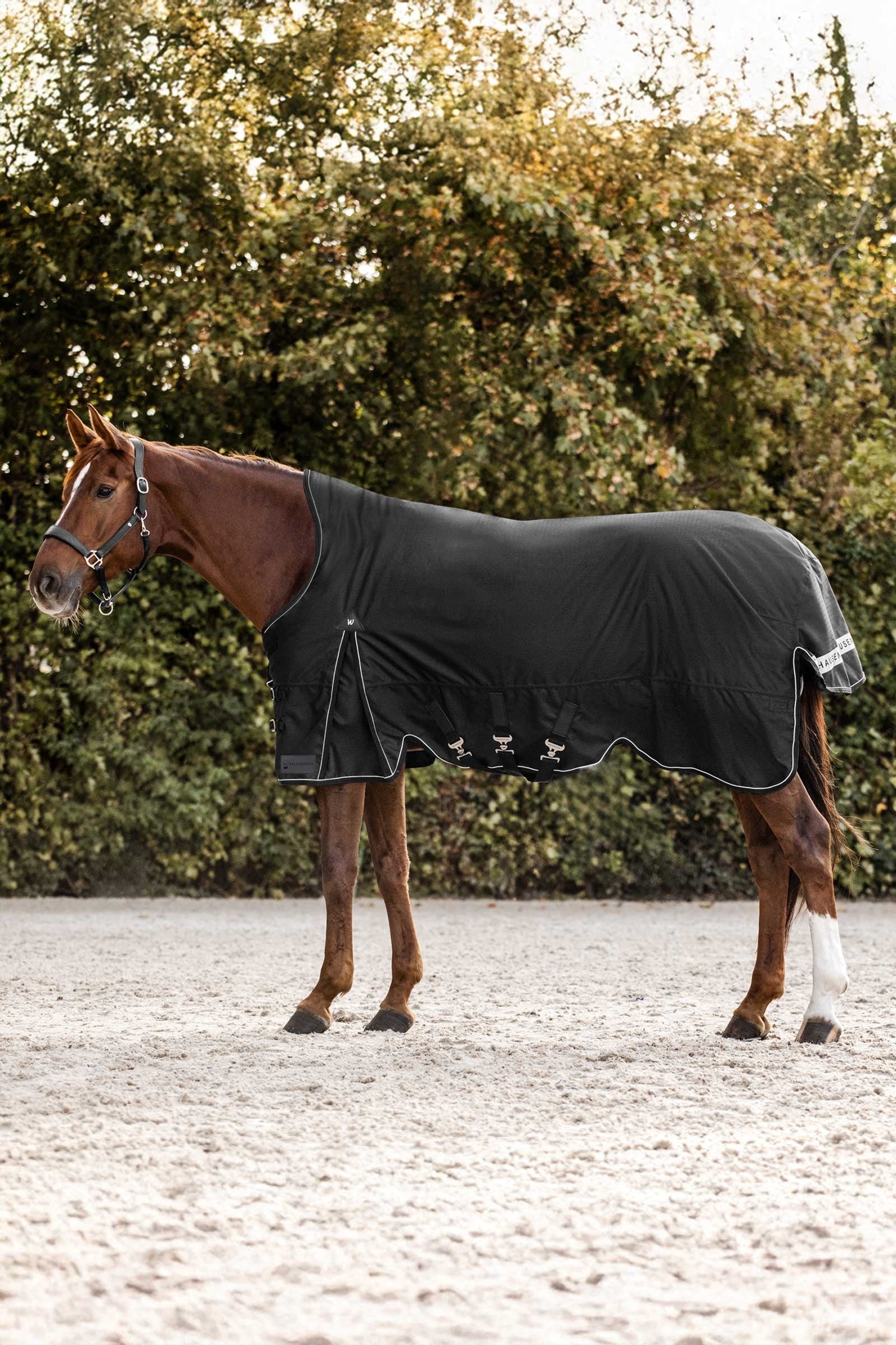 Waldhausen Scandic Turnout Rug With High Neck, 200g Horse Rugs