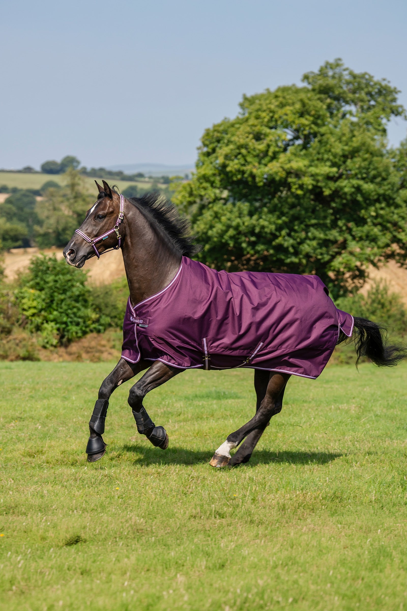Bucas Freedom Pony Turnout Rug, 150g Horse Rugs