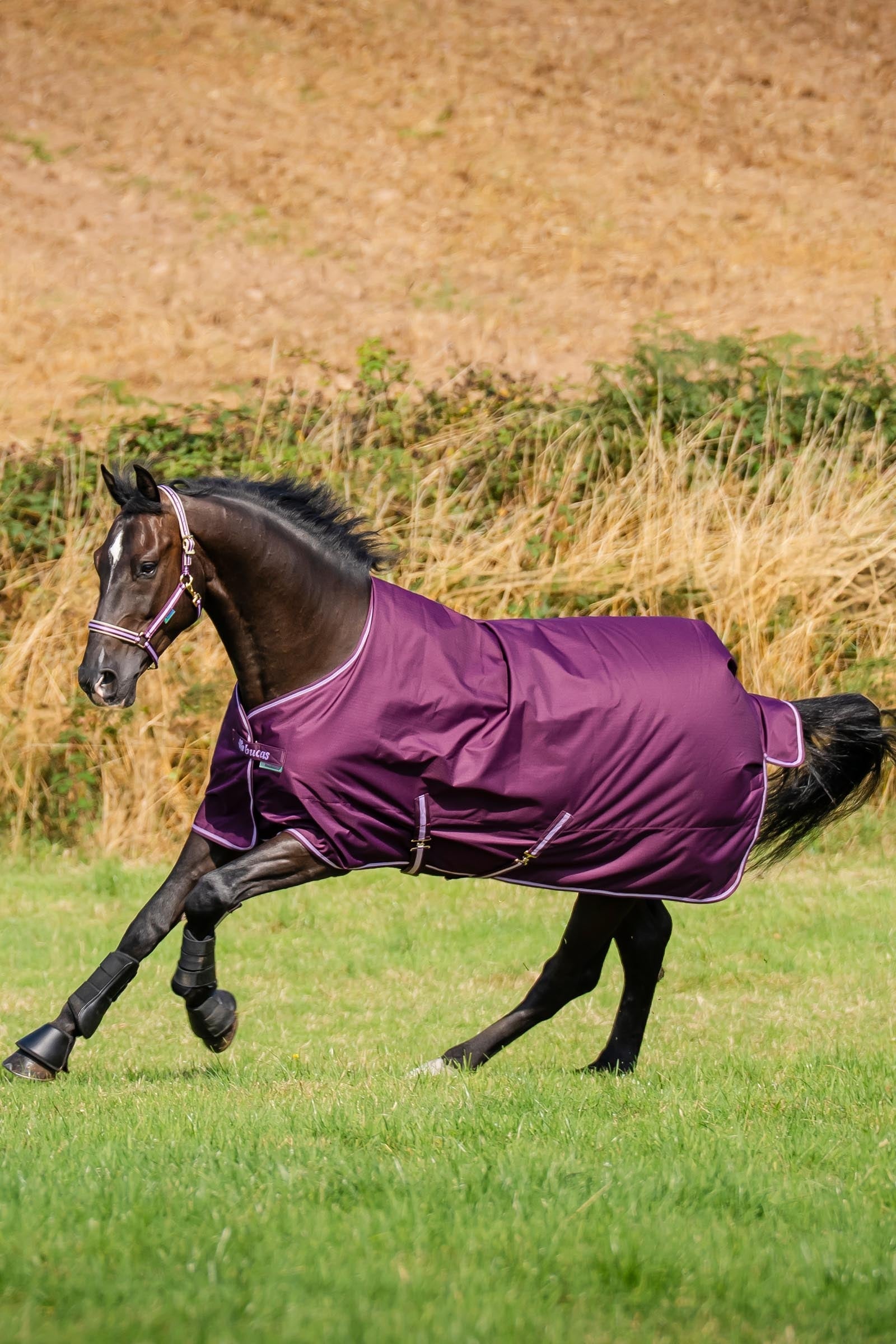 Bucas Freedom Pony Turnout Rug, 150g Horse Rugs