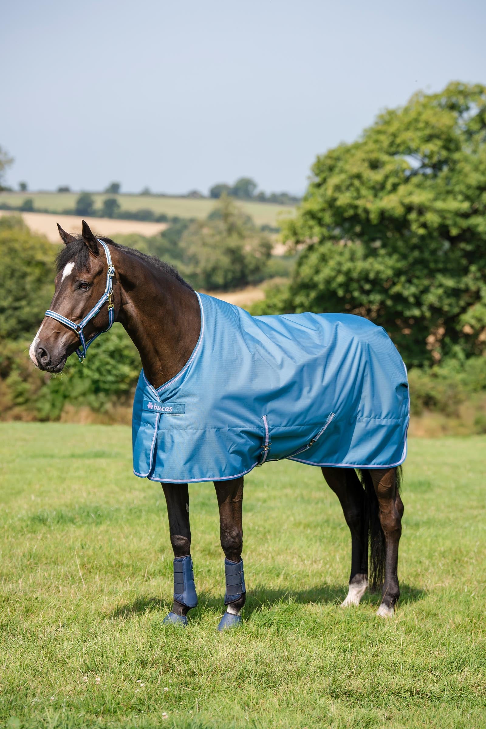 Bucas Freedom Pony Turnout Rug, 150g Horse Rugs