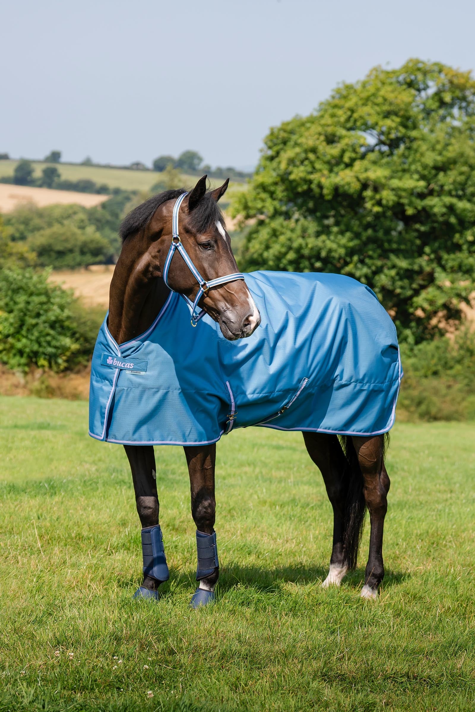 Bucas Freedom Pony Turnout Rug, 150g Horse Rugs