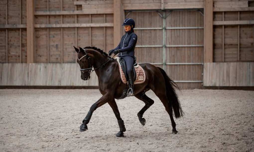 Dressage Riding - Everything You Need To Know | Horze Magazine