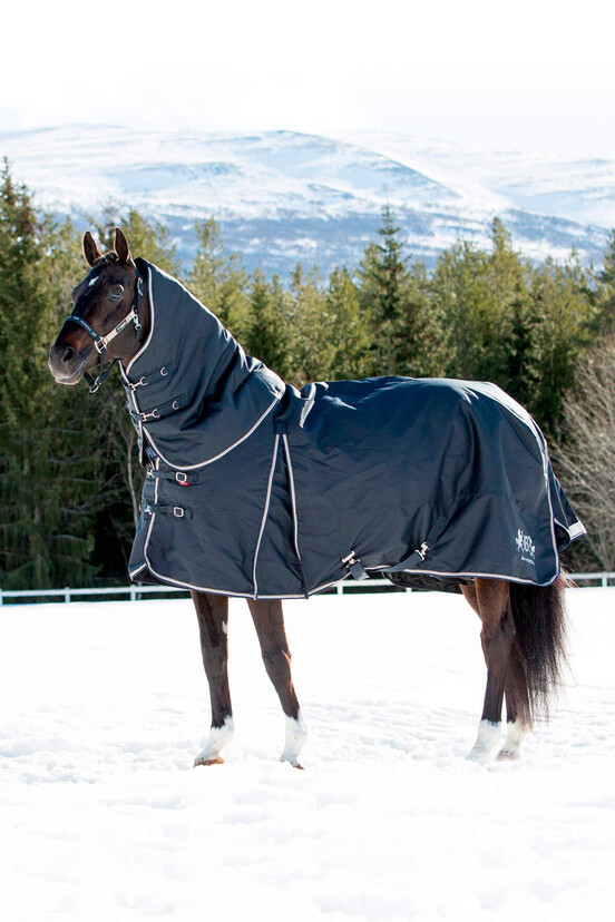 Medium & Heavyweight Turnout Rugs