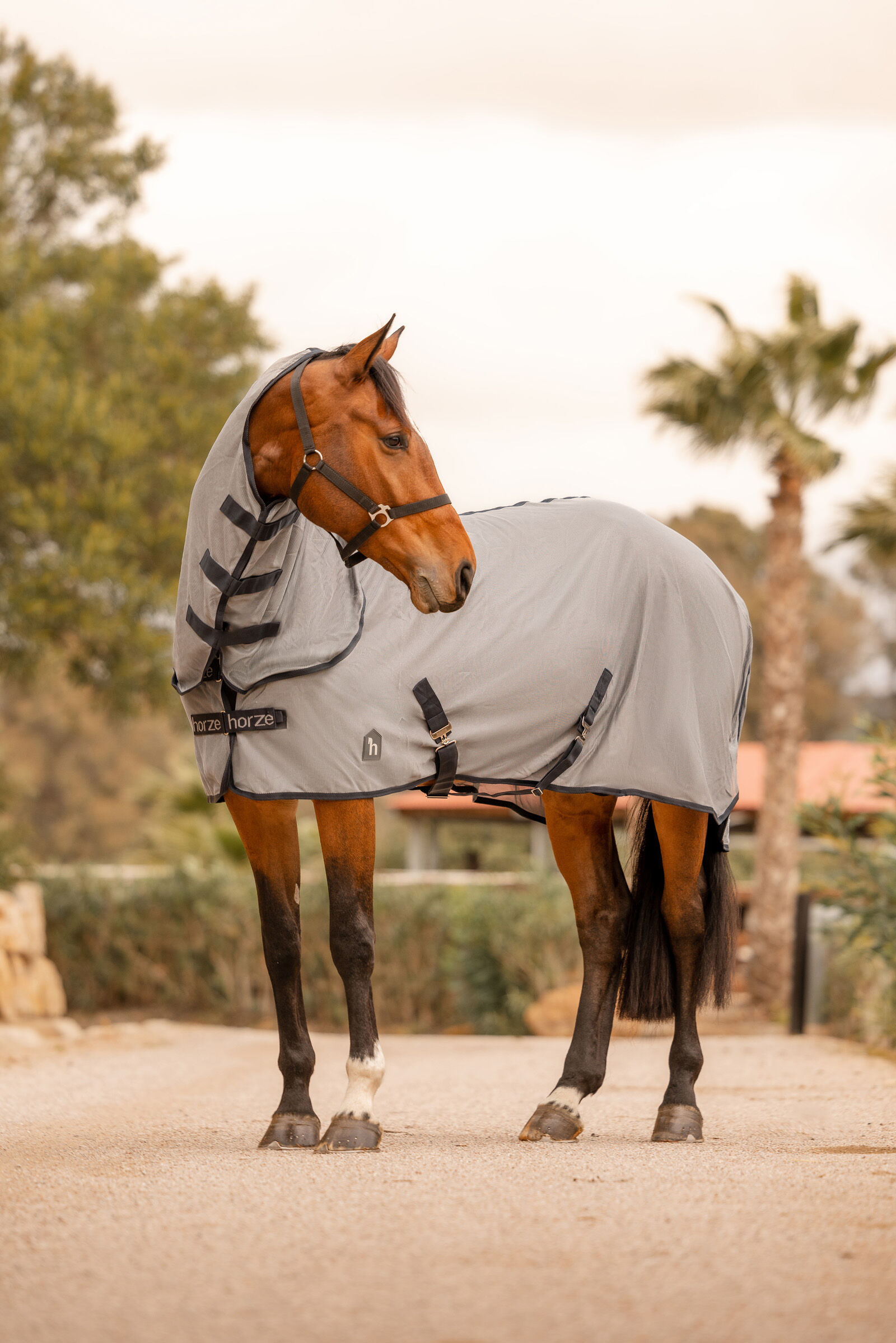 Horze Paso Fino Fly Rug with Detachable Neck and UV Protection
